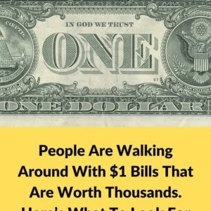 540699679_122146556402702454_2935593713332721056_n