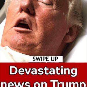 552533975_122206825040113433_905876026636888313_n