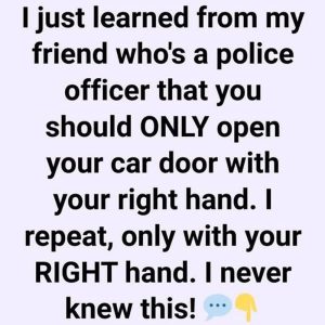 578273251_122153447690702454_9183241219588330071_n