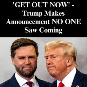 DHS Announces Major Self-Deportation 584658174_122212783262113433_7287628493237568981_n