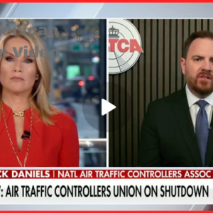 WATCH: Air Traffic Controllers Union Skewers Schumer, Democrats Over Schumer Shutdown Chaos Screenshot_1