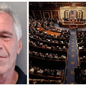 epstein-congress-1536×864
