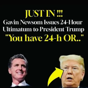 531475336_122177248010373335_1951546666131898009_n