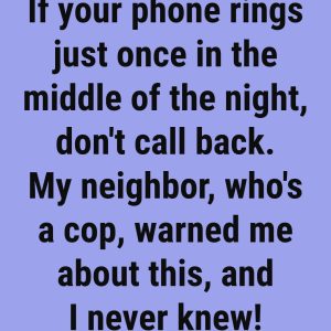 Don’t Call Back If Your Phone Rings Once in the Middle of the Night 591754787_122284691216010894_868074011586397540_n