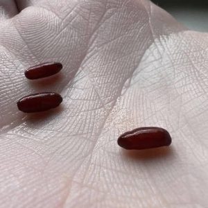 595174603_122253733292119723_2837730594194940803_n