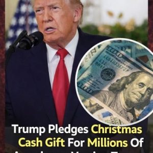 Trump pledges Christmas cash gift for millions of Americans, vowing to ‘repair Biden’s damage’ 599695952_122287890230010894_6298189333014343999_n