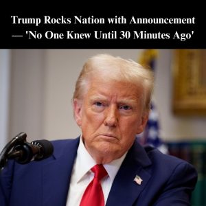 599952490_1423818672438866_8468742634842604175_n