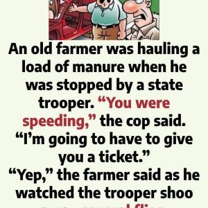 Funny Classroom Questions and a Farmer’s Sharp Wit 605778121_122158476854702454_1645978435548183226_n
