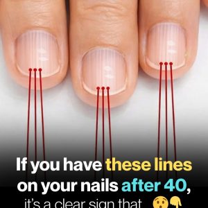 FB_IMG_1767219501468