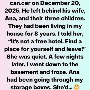 611373026_1217048190522734_8404174288603619251_n