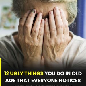 617566200_1451446909707337_2627049105055805940_n