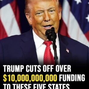 618085368_122230308746123475_34239484384784825_n