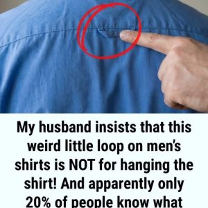 618404095_122256093176083645_1107837756338123087_n