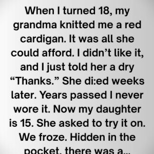 The Red Cardigan That Waited Fifteen Years: A Grandmother’s Love Woven in Every Stitch 619491505_122256637082083645_6088991014626433553_n