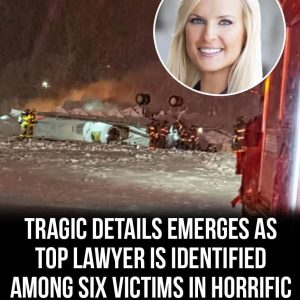 Tragic details emerge as top lawyer is identified among six victims in horrific plane crash 621798641_1313138660848534_6568301792621498184_n