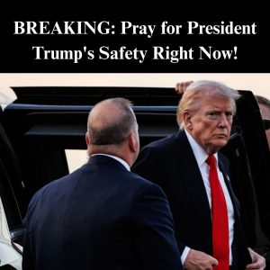 622382452_122175705008794316_2214514868243562757_n (1)