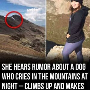 624574361_1311978280964572_5101218083811811736_n