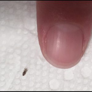 624889571_122257627826083645_4577838026748258240_n