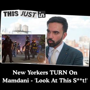 626619896_122241289952171729_4455816236969219993_n