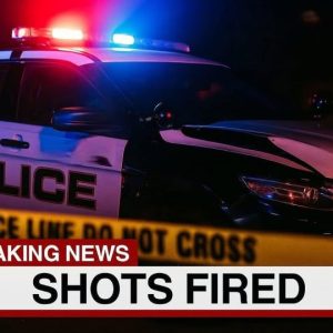 647823148_122126386563132882_4452430885099765785_n