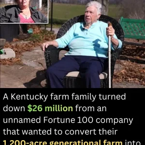 658100897_1729535719203532_4405787270466188523_n