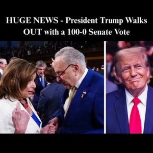 658561495_1504216197732446_4920631445277212901_n