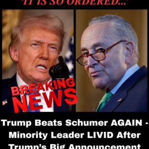 Trump Bypasses Democrat Congressional Chaos, Signs Order to PAY TSA 659048583_122247824576171729_7777810400491071181_n