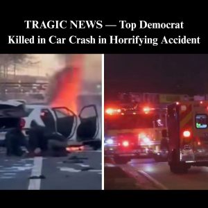 658347871_1504415087712557_7566706271503569367_n