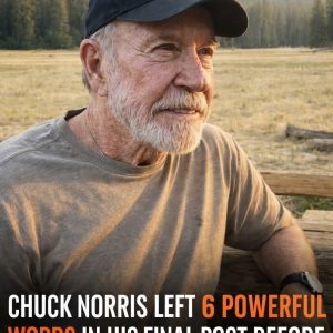 FB_IMG_1775081313766