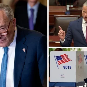 Schumer-Thune